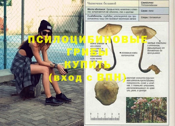 скорость mdpv Козловка