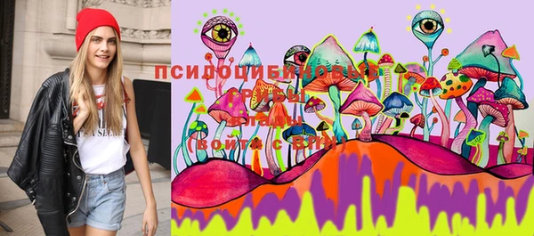 мяу мяу мука Краснослободск