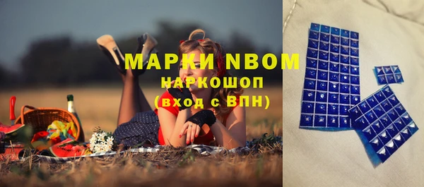 индика Корсаков