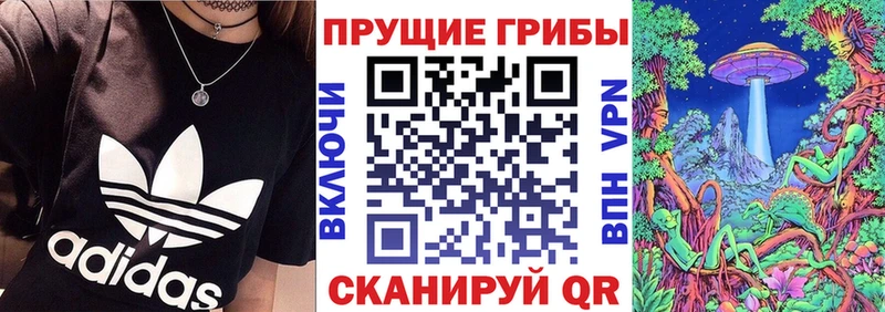 Псилоцибиновые грибы мицелий  blacksprut ТОР  Коряжма 